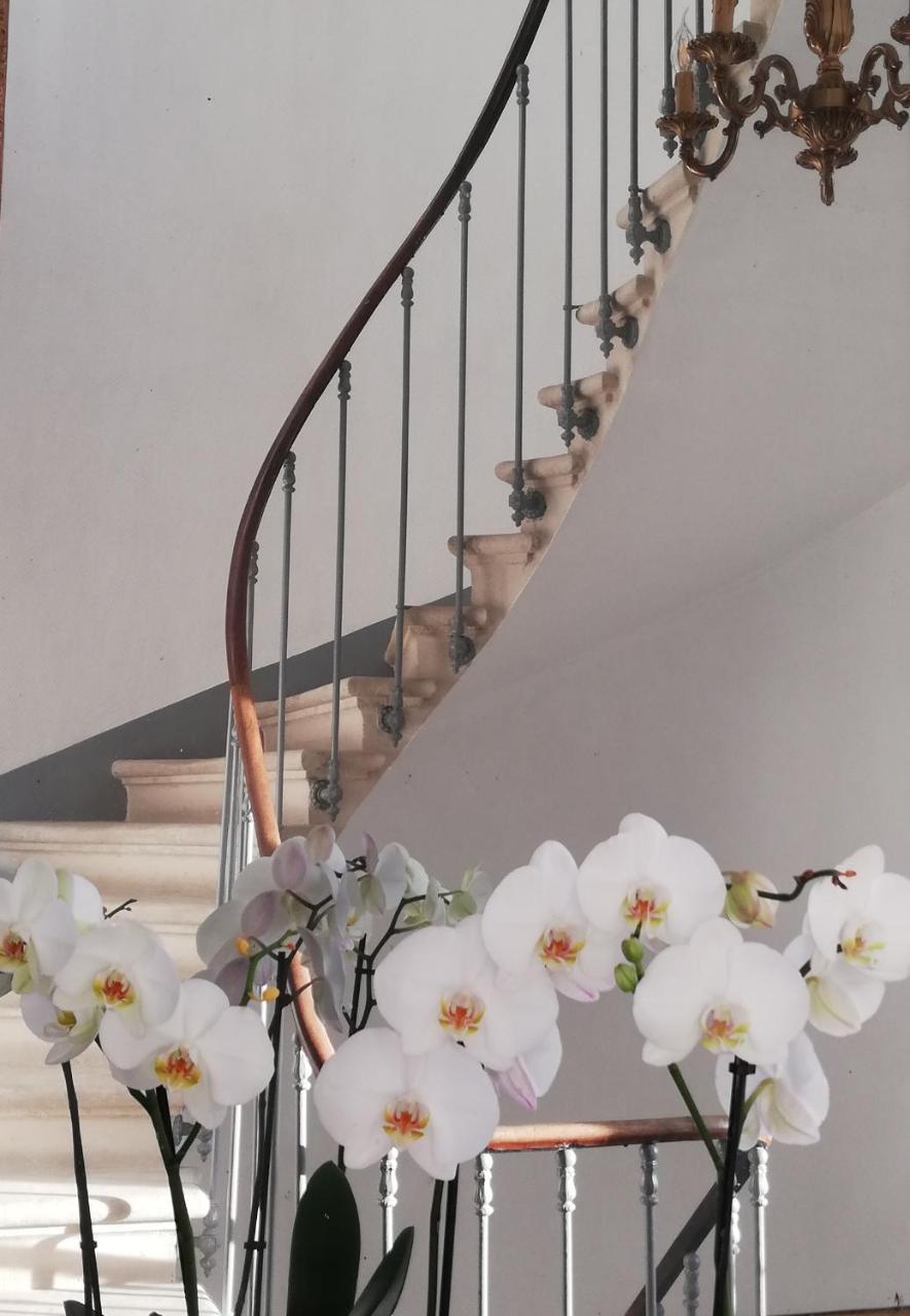 L'Angely - Chambres D'Hotes นีออร์ ภายนอก รูปภาพ